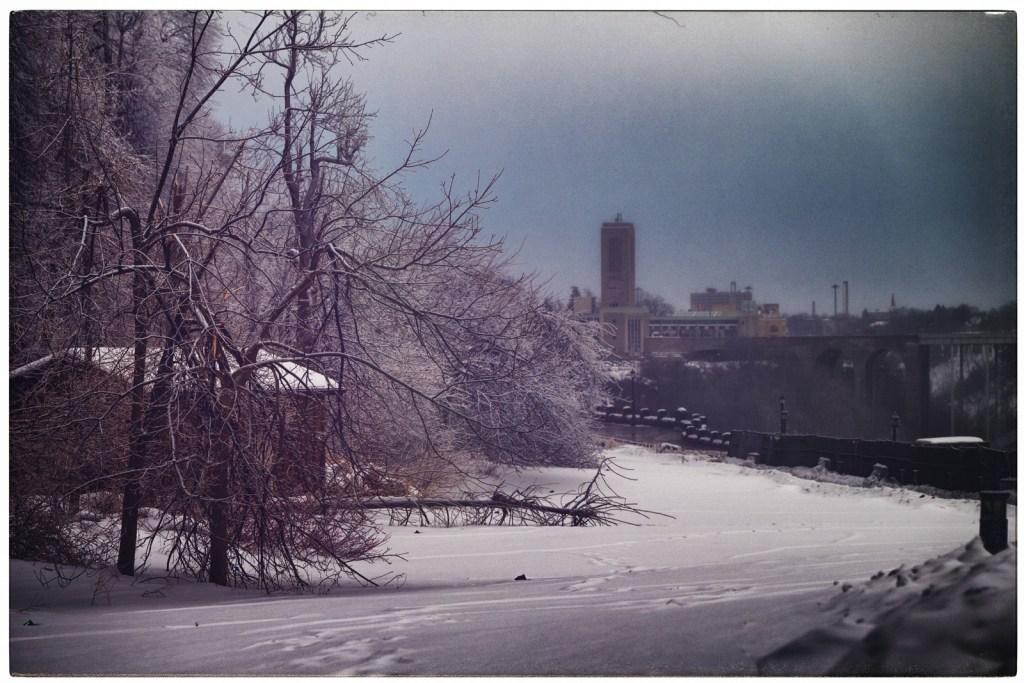 Frozen Stillness Along the Niagara Gorge
