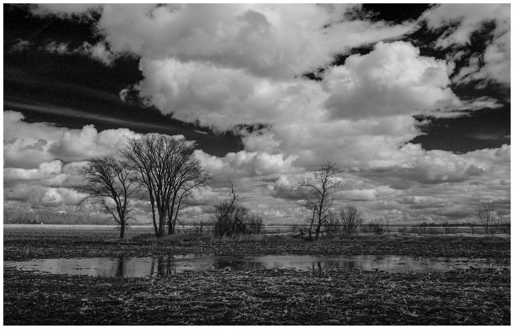 Prairie Clouds Over Flooded Field