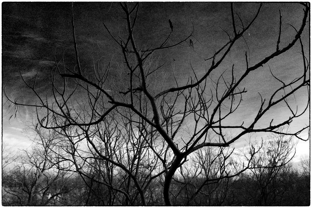 Silent Sunday 2025-12-28 hike in Niagara Glen